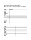 Explica si las palabras presentan hiato, diptongo o triptongo.