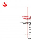 ANÁLISIS – 5 FUERZAS DE PORTER