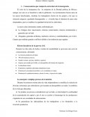 SINTESIS GILBERTO ARGUELLO.