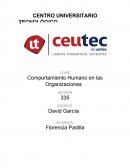 Mapa Conveptual Comportamiento Organizacional.