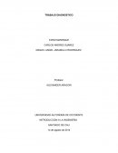 Trabajo Diagnostico Introduccion Ingenieria