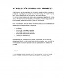 INTRODUCCIÓN GENERAL DEL PROYECTO