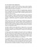 PLANTEAMIENTO DEL PROBLEMA.La huerta orgánica, es un espacio de tierra en donde se realiza un cultivo de hortalizas