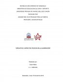 Circuitos y aspectos tècicos de la iluminaciòn