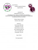 DETERMINACION DEL PERFIL DE TEMPERATURA DURANTE LA CONDUCCION RADIAL ANTE DIFERENTES VELOCIDADES DE GENERACION DE ENERGIA DENTRO DE UN DISCO