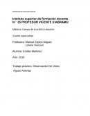 Trabajo práctico: Observación De Video Aguas Abiertas
