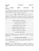 Ejemplo de Acta constitutiba.