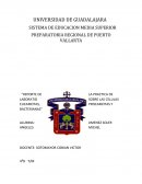 Reporte practica celulas