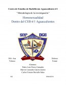 Ensayo homosexualidad.