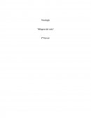 Psicología “Milagros del cielo”