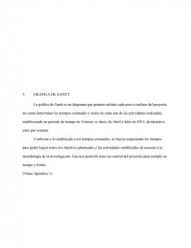 Tesina pyme. Página 45