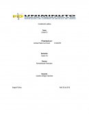 ENSAYO SOBRE LA CONSTITUCIÓN POLÍTICA.