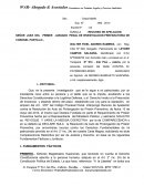 APELACION DE SENTENCIA. RECURSO DE APELACION.