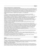 Prácticas de Manejo Efectivo en Pequeñas Empresas