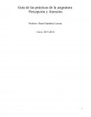 Guía de las prácticas de la asignatura