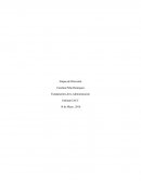 Fundamentos de la administracion. Etapas de Dirección