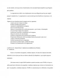 Tesina pyme. Página 32