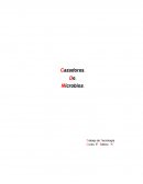 Los Cazadores De Microbios.