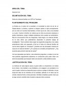 DOCUMENTO Indice de violencia familiar en el DIF de Tenosique