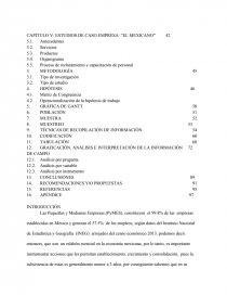 Tesina pyme. Página 5