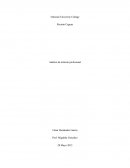 Análisis de artículo profesional