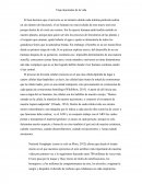 Viaje alucinante de la vida