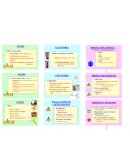 POLÍTICA DE LOSS CONTROL