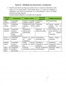 FOL - Medidas de prevención y protección