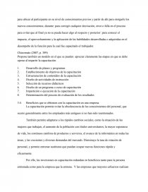 Tesina pyme. Página 31