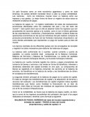 Ensayo- de economia individual.