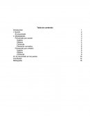 Noción El prevaricato.