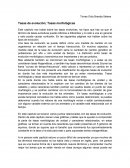 Tasas de evolución; Tasas morfológicas