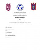 PRÁCTICA 9 y 10 “Reacciones enzimáticas de óxido-reducción (SDH y Citocromo oxidasa)”