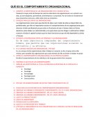 QUÈ ES EL COMPORTAMIENTO ORGANIZACIONAL.