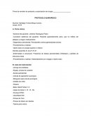 Protocolo quirurjico.