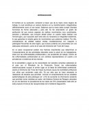 El hombre en su evolución,