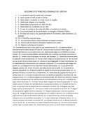 Ejemplos principios grales. derecho.