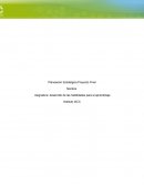 Planeación Estratégica Proyecto Final.