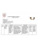 PLANIFICACIÓN EXPERIENCIA VARIABLE N° 1 TEMA: “LOS SENTIDOS”