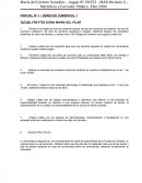 PARCIAL 1 COMERCIAL MARTILLERO UBP.