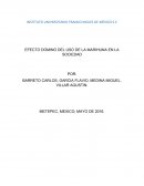 Capítulo 1. Introducción a la marihuana