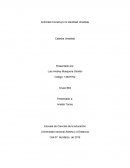 Identidad uniadista.