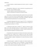 Aglomeración