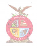 Proyecto de intervención pedagógica comprensión lectora.