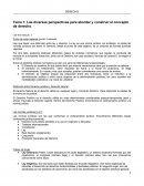 Las diversas perspectivas para abordar y construir el concepto de derecho.