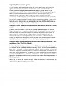 Pregunta1- ¿Qué sucede con los agentes?