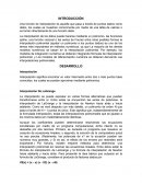 Una función de interpolación