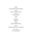 Importancia de la interacción humana