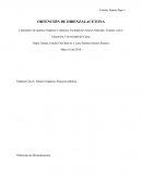 Obtencion de dibenzalacetona.