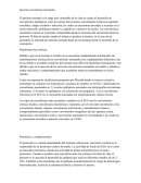 Convulsiones neonatales